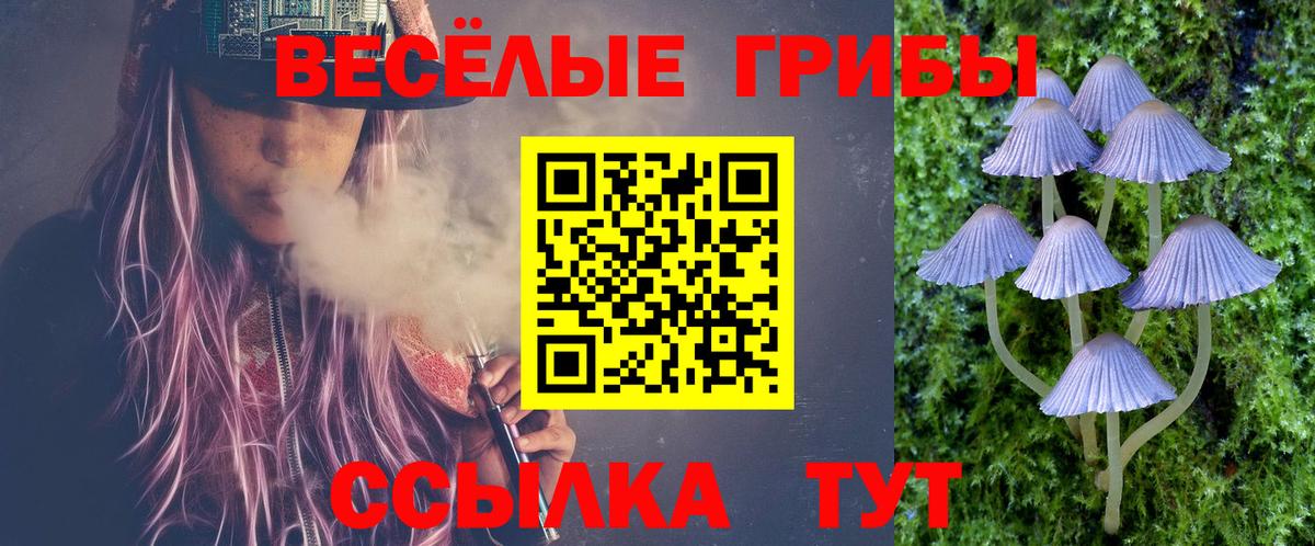 купить   Псилоцибиновые грибы Psilocybe  Вход с VPN  Псилоцибиновые грибы мицелий  Пенза 